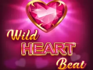 Xon Bet Casino screenshot